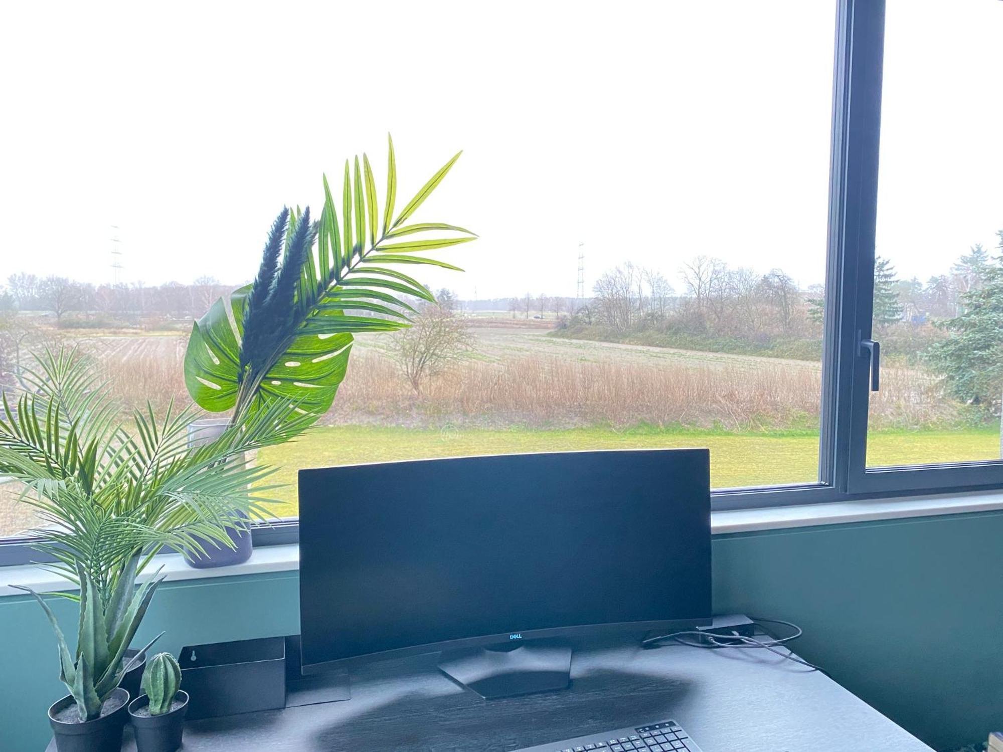 Exklusive Design Appartement Palm Paradise Neubau Pfungstadt Kültér fotó
